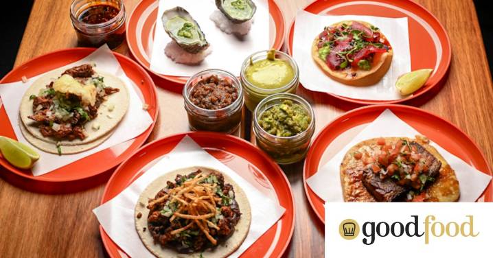 The Dingo Ate My Taco team open a bricks-and-mortar taqueria in the CBD