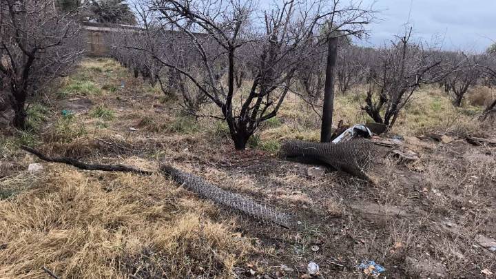 Detuvieron en Maipú a dos hombres con un rollo de tela robada