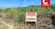 Ica: SUNAT anuncia tercer remate de inmuebles por más de 472 mil soles