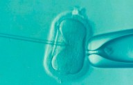 Científicos crean óvulos fecundables a partir de células de la piel