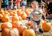 What to do Sept. 25