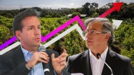 ¿Descertificación?: 8 gráficas de Daniel Mejía que demuestran los malos resultados del Gobierno Petro en la lucha contra las drogas