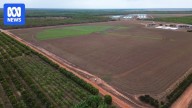 Elevated E. coli levels recorded at major NT crocodile farm owned by luxury label Hermès