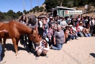 Photos: Gallop for Good event supports Xenophon Therapeutic Riding Center