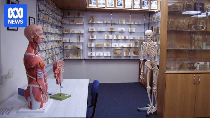 Body parts taken for decades without consent, for display at UTAS museum, coroner finds