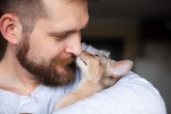 Cuando el caudal de amor va a los animales y no a los hijos