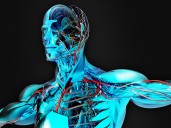 AI Model Predicts Risk for 1,000 Diseases Decades in Advance