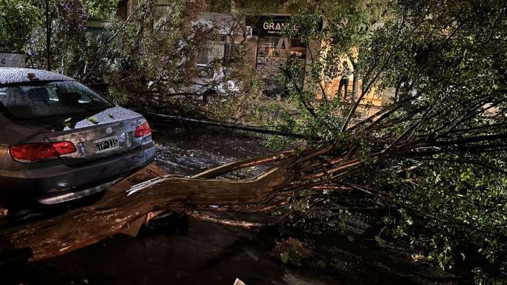 Mapa en vivo de las lluvias de este viernes en Buenos Aires: cuándo se espera caída de granizo en el AMBA
