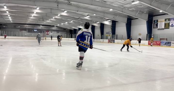 Hyde Park Ice Pavilion to stay open with temporary operator