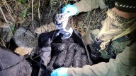 Teen arrested after trying to smuggle 27 pounds of meth into US
