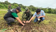 Ejército Nacional siembra más de 33.500 árboles en un minuto