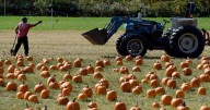 New Hampshire officials respond to severe drought