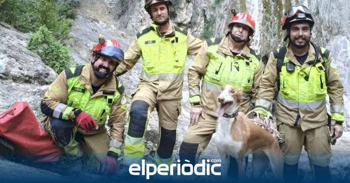 Rescate milagroso al borde de una conocida cascada de Castellón: bomberos salvan a una perrita atrapada en un cortado