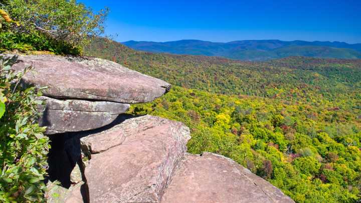 Public Slams Four Hikers Rescued In New York’s Catskill Mountains After “Debilitating” Mushroom High