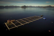 Tierra del Fuego presente IV congreso de ingeniería pesquera