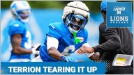 Do the Detroit Lions have (2) top cornerbacks?