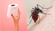 El método definitivo contra los mosquitos: media España los elimina con un simple truco de papel higiénico