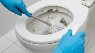 Cómo eliminar el moho del inodoro con un truco casero