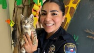 Invita Policía de Laredo adoptar a una mascota; esto debes saber
