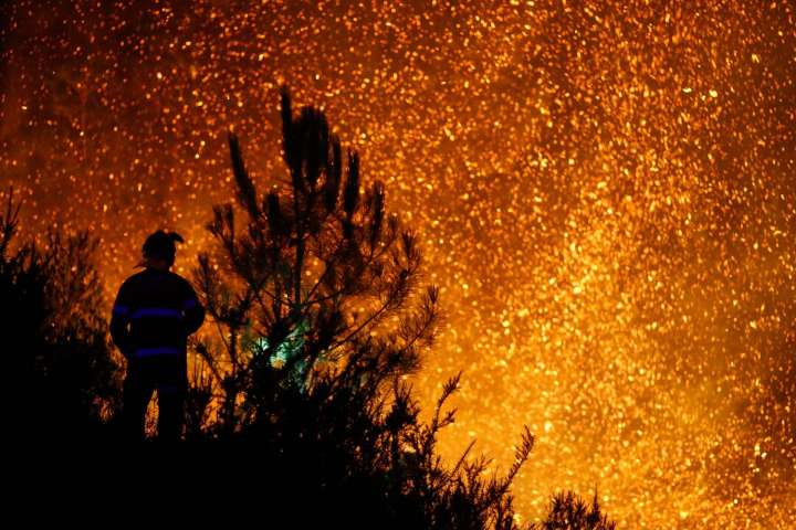 Los incendios forestales elevan el riesgo para la población a nivel global