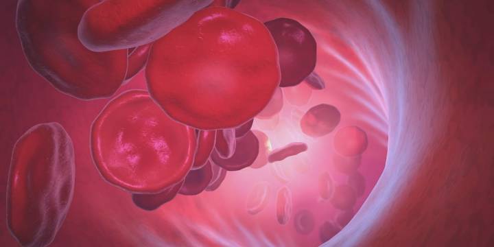 Avera Medical Minute: CAR-T Cell Therapy for Cancer Treatment