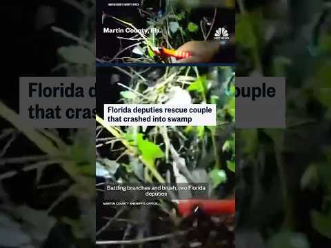 Florida deputies rescue couple that crashed into swamp