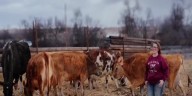First-generation micro dairy in Montana: bridging the gap between farm and table