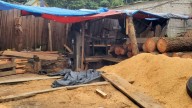 Clausuran aserradero ilegal en Huitzilac, Morelos; aseguran madera y maquinaria