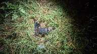 Un gendarme que trabaja como remisero, baleó a dos delincuentes que quisieron robarle durante un viaje
