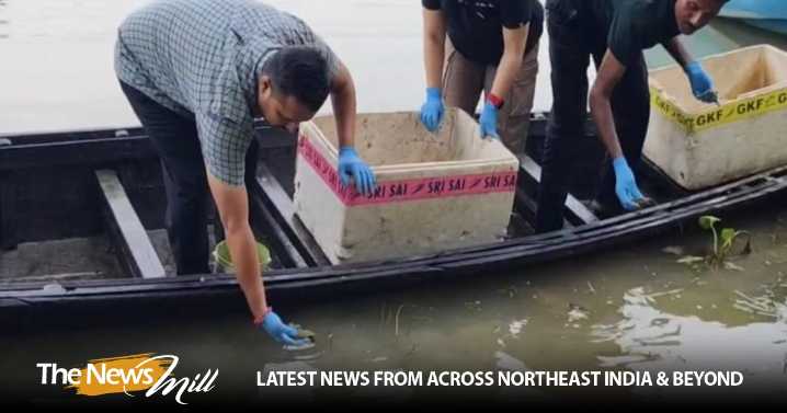 Assam: 104 hatchlings of three turtle species released at Hadug Beel in Pobitora Wildlife Sanctuary