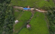 Cañón del Micay: entre la ‘Bolsa de la cocaína’ y una paz que aún no llega