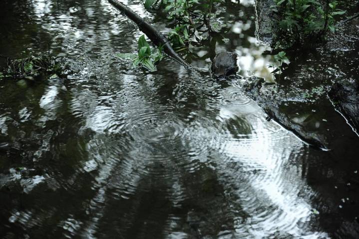 Houston Residents Uneasy After Series Of Body Discoveries