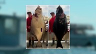 177-pound halibut caught by New Hampshire teen could set a record