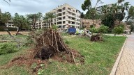 Los efectos del temporal se dejan ver en primera línea del paseo Marítimo de Palma