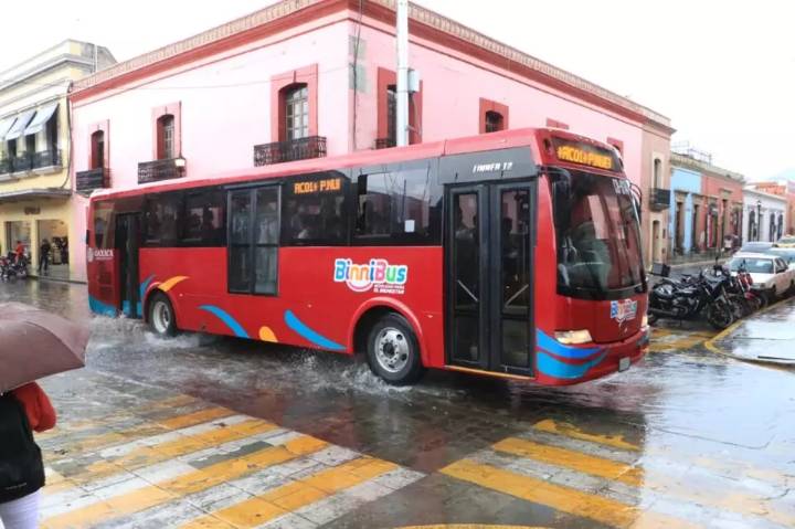 Mantendría BinniBus descuento a estudiantes y adultos mayores