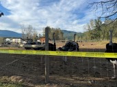CFIA will maintain custody of the birds at ostrich farm in B.C.