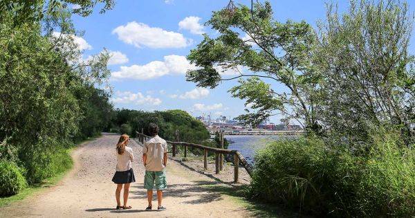 Escapada: cómo es la nueva reserva ecológica con senderos y laguna a menos de 30km de CABA