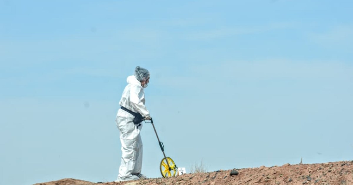 Buscan reconstruir la imagen facial de la mujer hallada muerta en el basural de Neuquén