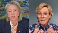 ‘Stop being a defender of China’: Bridget McKenzie calls out Zali Steggall in fiery clash on emissions reduction