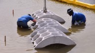 Brevard adds "Reef Arches" to help shore up A. Max Brewer Causeway