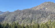 Foley Ridge Fire reaches 46% containment at 497 acres