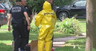 Madison woman who operated pet care business charged with 15 counts of animal mistreatment