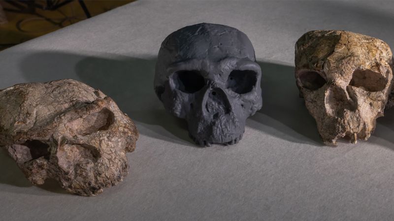 A skull unearthed in China challenges the timeline of human evolution, scientists say