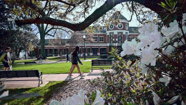 Belhaven University offering full-ride scholarship for aspiring creative writers