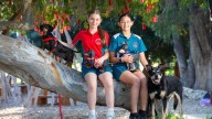 Telethon: Mullaloo Heights Primary School students create papier-mache dogs to raise funds for Telethon