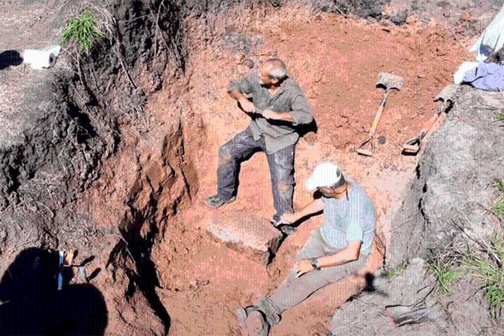 Dieron detalles del hallazgo del gliptodonte entre Basavilbaso y Líbaros