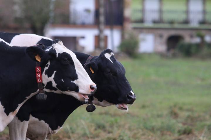Nestlé invierte cerca de 12 millones en agricultores y ganaderos para impulsar la agricultura regenerativa en España