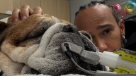 La angustia de Lewis Hamilton por la salud de su mejor amigo