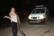 Florida snake woman: What it’s like to catch 60 pythons with your bare hands.