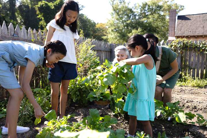 Homeschool Family Days Return to Jamestown Settlement, American Revolution Museum at Yorktown